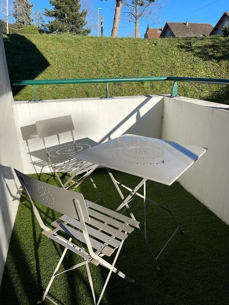 Apartment Zenbnb / Leman / Garage /Balcon/ Piscine Annemasse